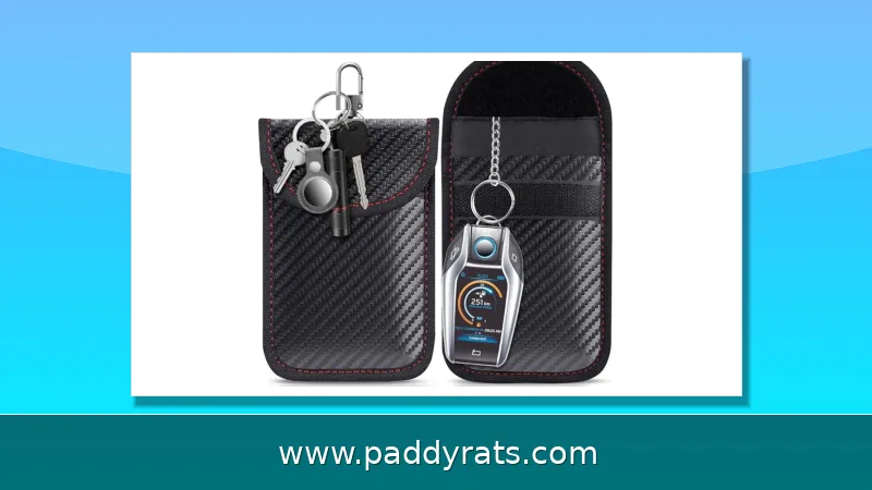 Faraday Bag for Keyless Car Theft Prevention: How Signal Blocking Works
